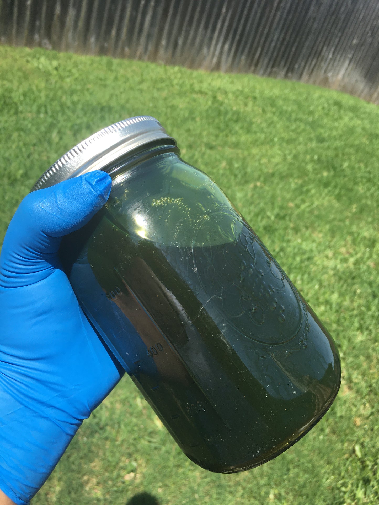 Thrive Hair and Scalp Oil