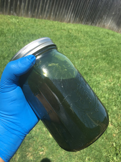 Thrive Hair and Scalp Oil